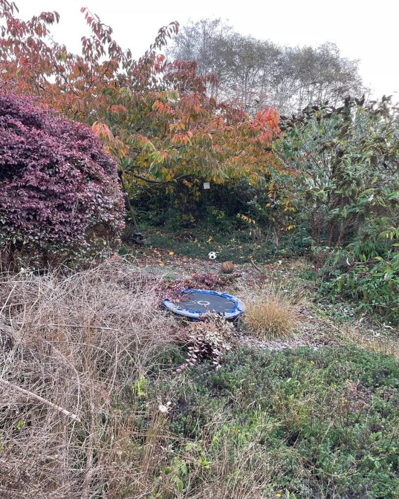 why choose luis lawn care for brush removal in briceland ca?, brush removal near briceland california luis lawn care