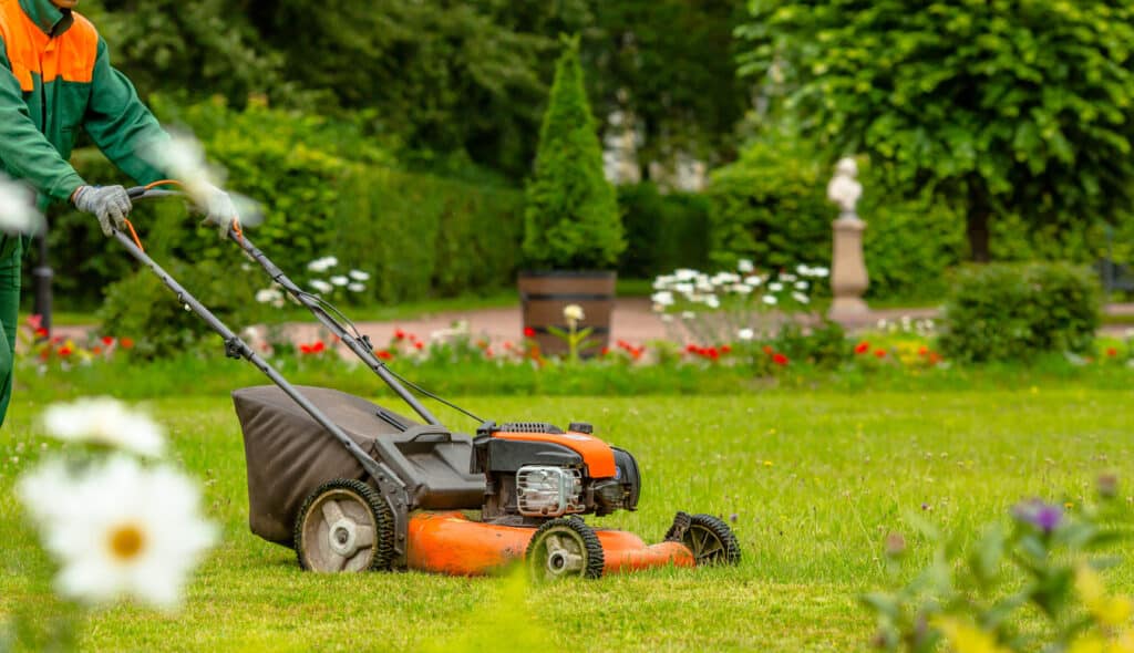 Banner. A human lawn mower cuts the grass in the backyard. Agricultural machinery for the care of the garden. Luis Lawn Care service overview showcasing diverse lawn care solutions for enhancing outdoor experiences.