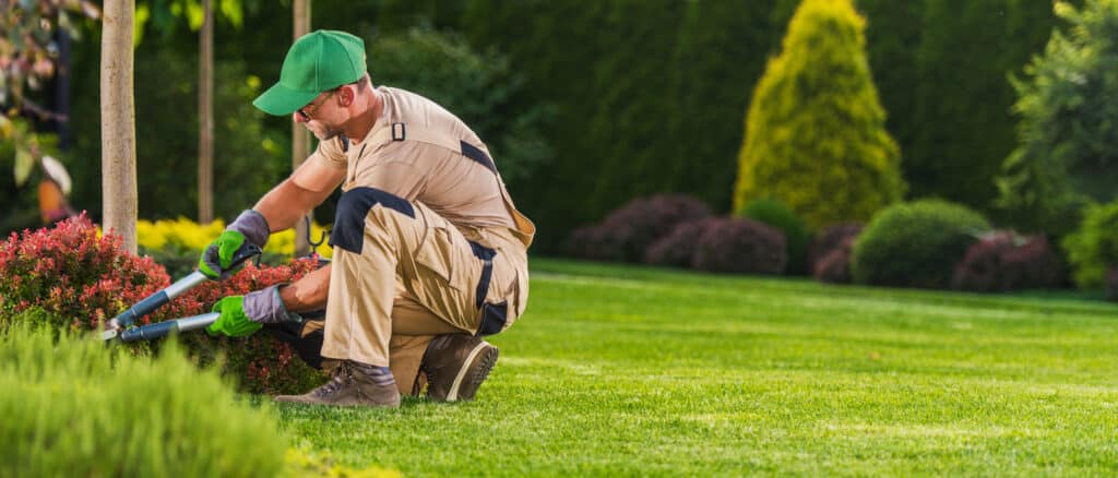 Landscaping and Garden Care Worker Trimming Plants Lawn care professional pruning shrubs in a well-maintained garden, showcasing Luis Lawn Care's landscaping services in Humboldt County.