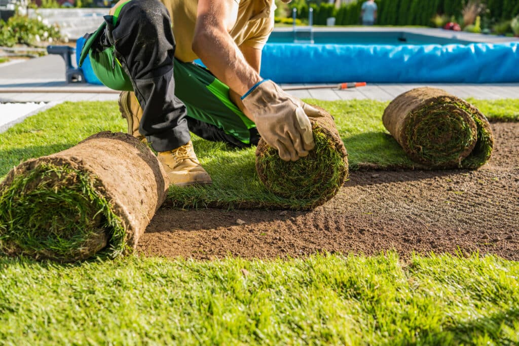 Rolls of Natural Grass Turfs Being Installed Inside a Backyard Garden Luis Lawn Care service overview image showcasing various lawn care solutions for enhancing outdoor experiences.