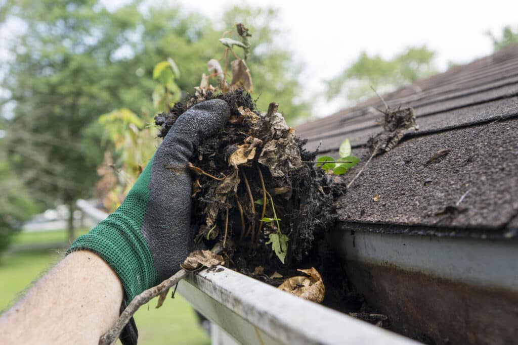 Cleaning Gutters During The Summer Image of a lush lawn by Luis Lawn Care highlighting professional lawn care services for improved outdoor experiences.