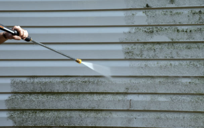myrtletown-luis-lawn-care-pressure-washing-5