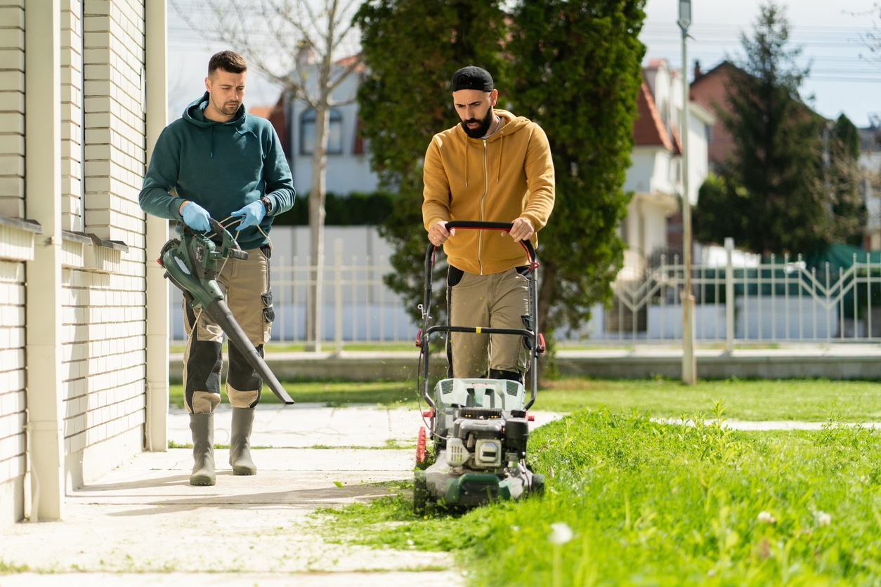 Expert Lawn Mowing Services in Bayview, CA - Luis Lawn Care