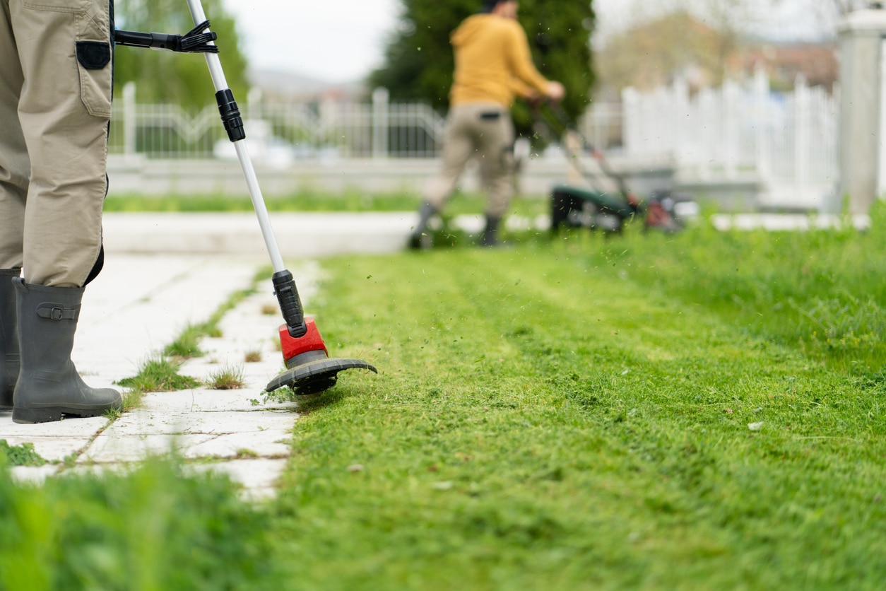Two men are trimming grass: one is using a trimmer, and the other one is using a lawn mower. discover top lawn man mowing services available near you!, top lawn service in geo city geostate luis lawn care